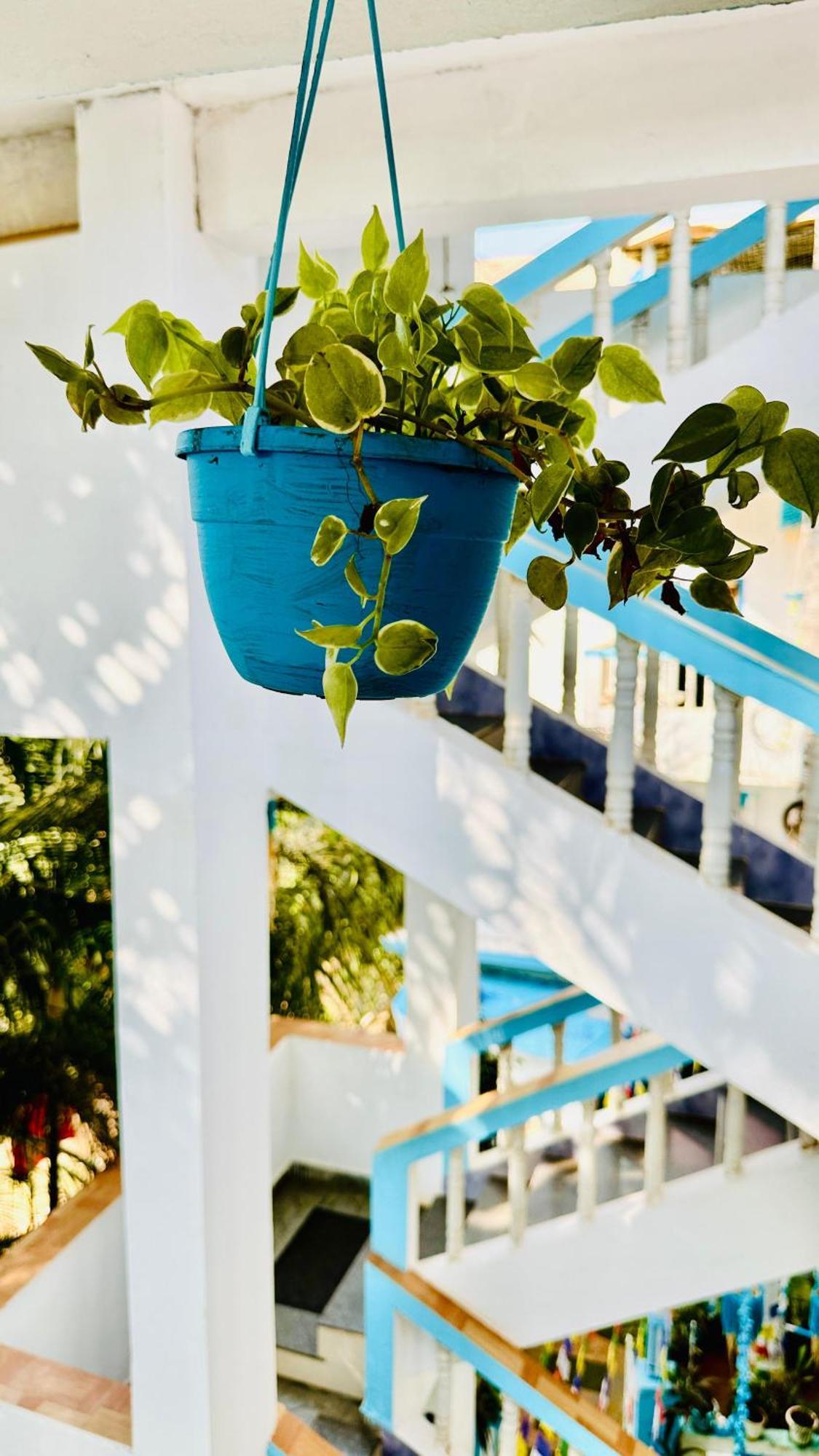 Omkar Wellness Inn Arambol Dış mekan fotoğraf