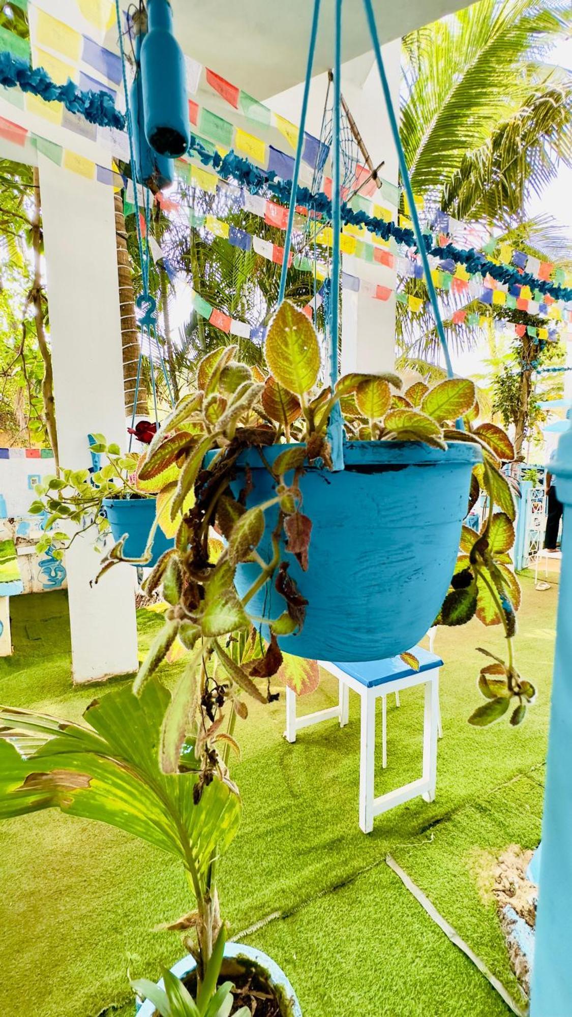 Omkar Wellness Inn Arambol Dış mekan fotoğraf