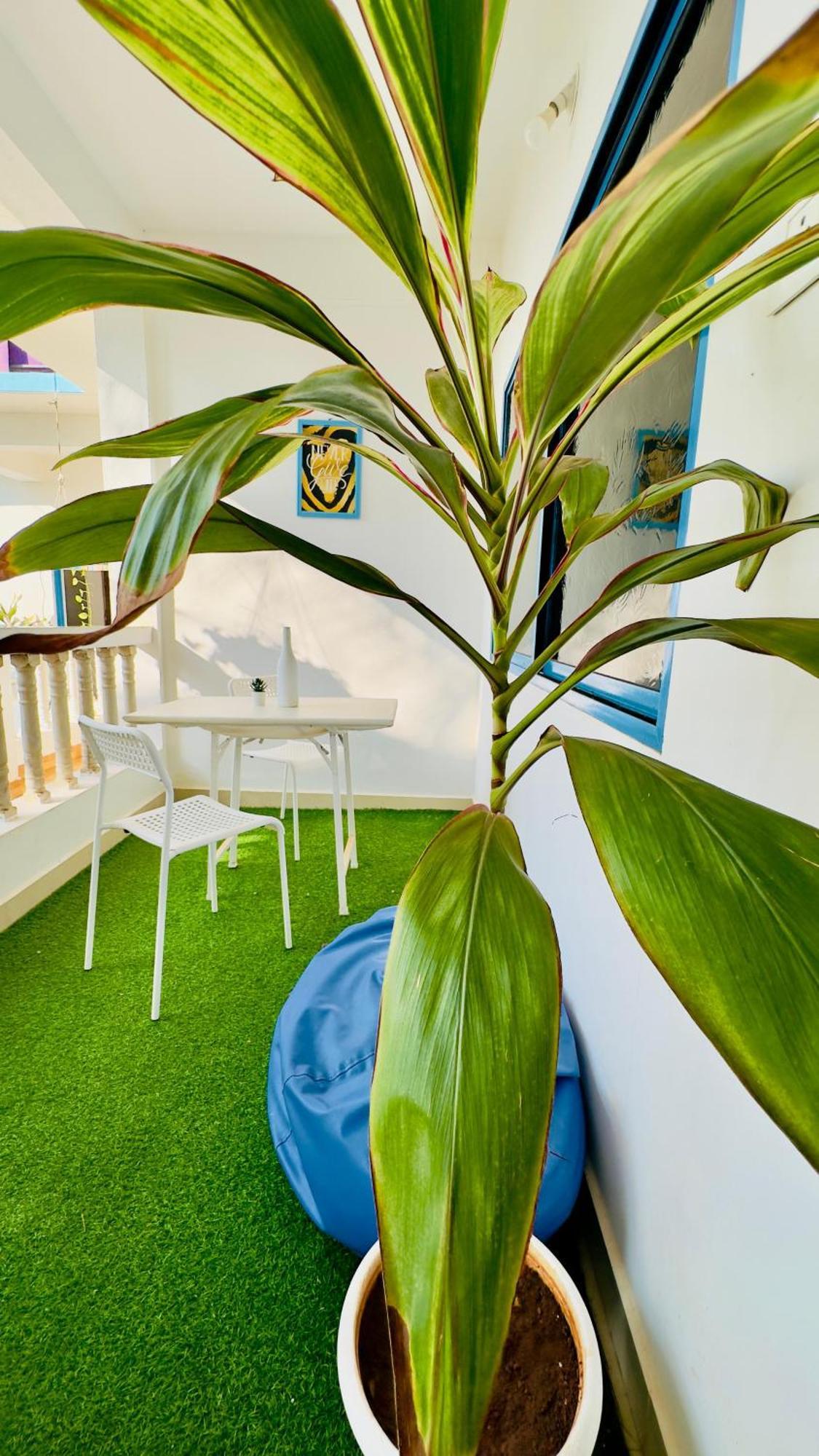Omkar Wellness Inn Arambol Dış mekan fotoğraf