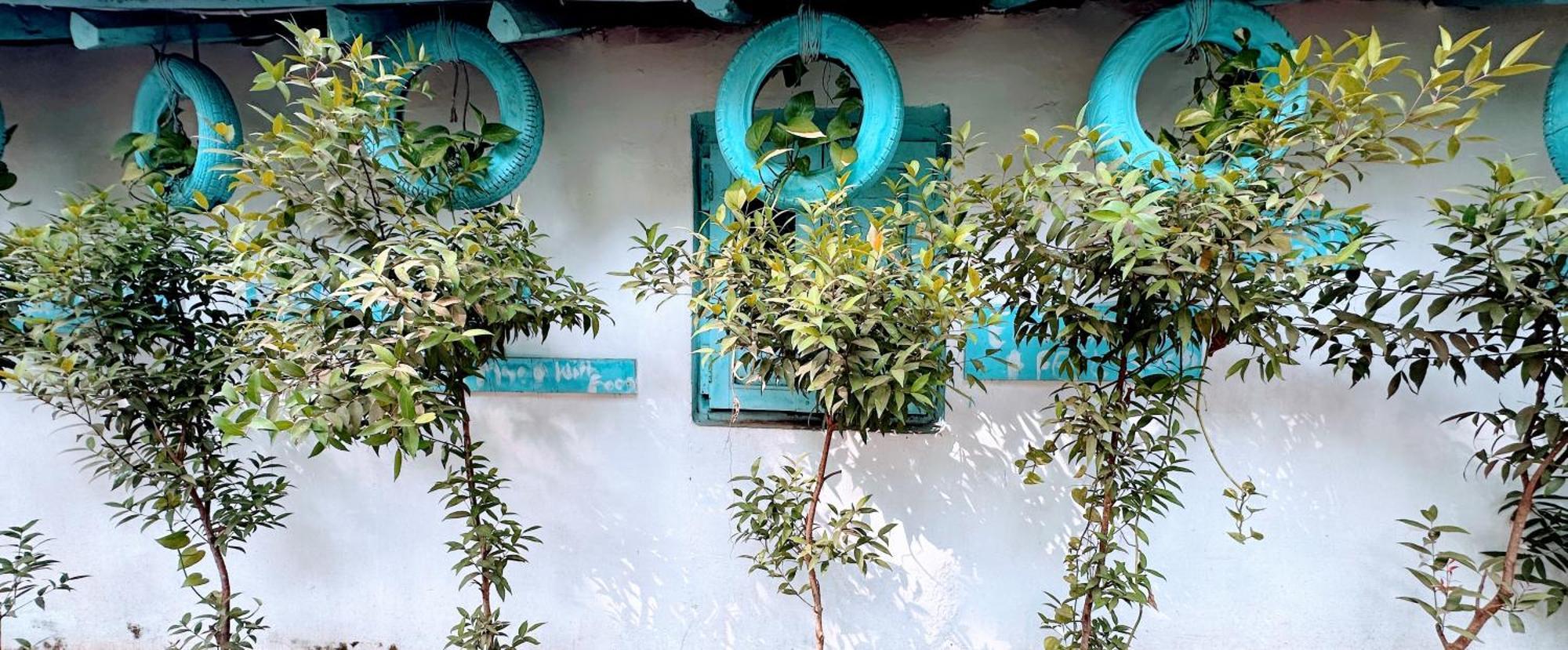 Omkar Wellness Inn Arambol Dış mekan fotoğraf